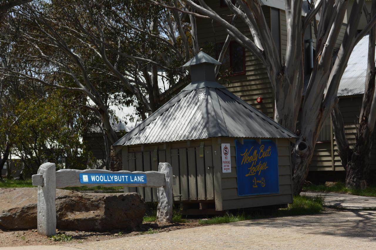 דינר פליין Gundy Lodge מראה חיצוני תמונה